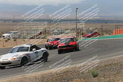 media/May-03-2025-Lucky Dog Racing (Sat) [[206de64b9d]]/Turn 4 B (1150am-130pm)/